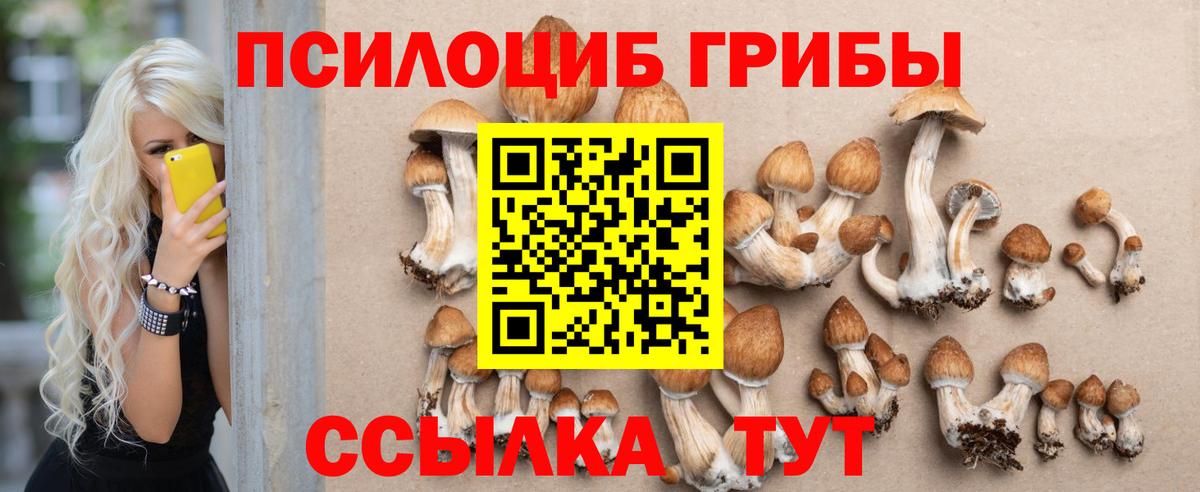 Галлюциногенные грибы Cubensis Кемерово